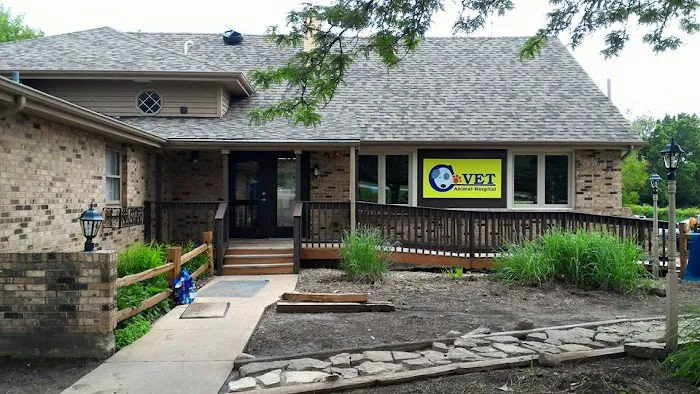 C-VET Animal Hospital Picture 8
