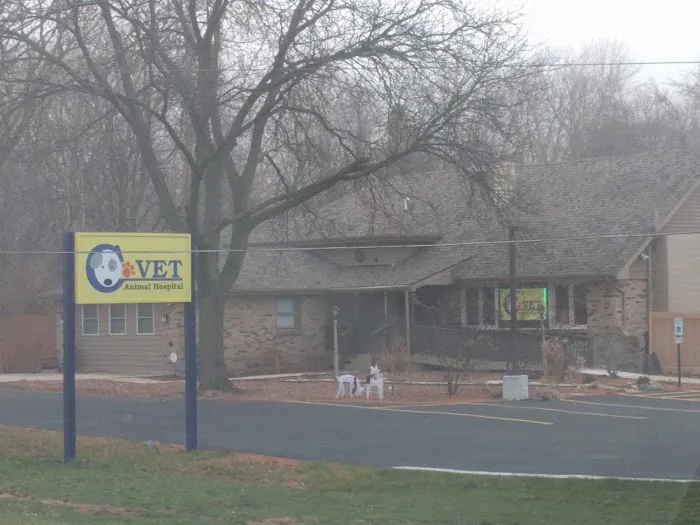 C-VET Animal Hospital Picture 10