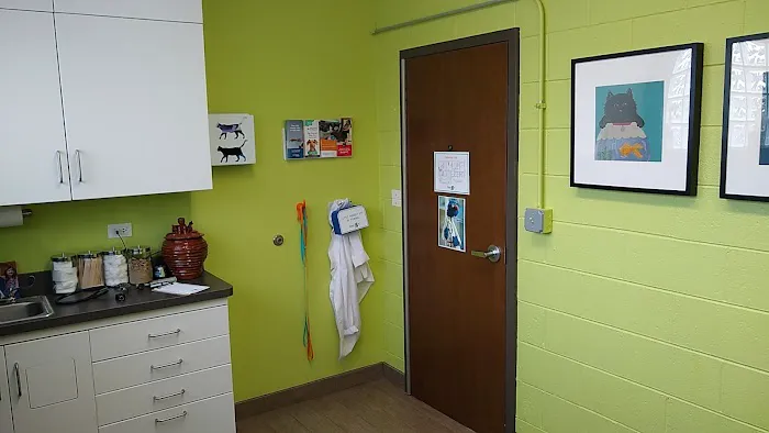 Friendly Vet Animal Hospital Picture 1