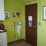 Friendly Vet Animal Hospital