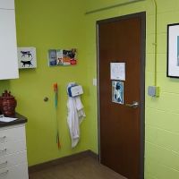 Friendly Vet Animal Hospital ico