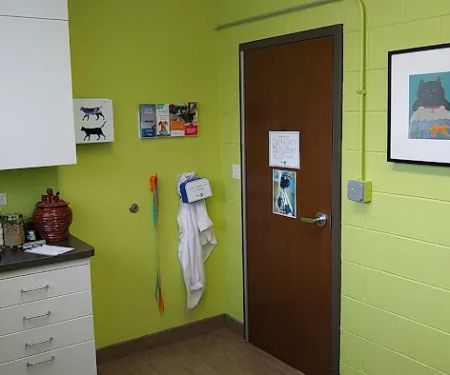Friendly Vet Animal Hospital