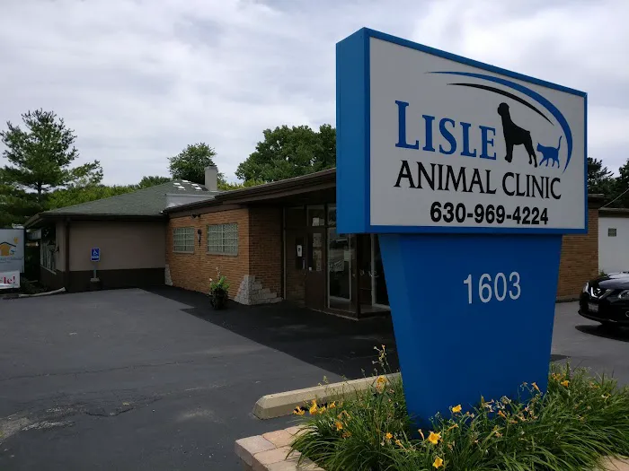 Friendly Vet Animal Hospital Picture 7