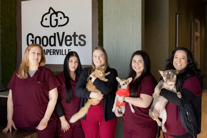 GoodVets Naperville Picture 1