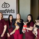GoodVets Naperville