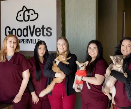 GoodVets Naperville
