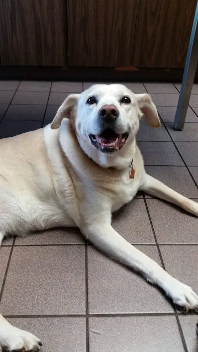 Argonne Animal Hospital Picture 3