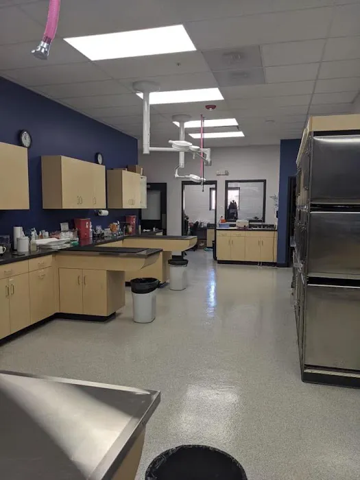 Boughton Square Animal Clinic Picture 7