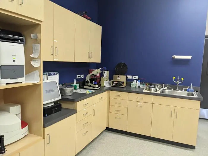 Boughton Square Animal Clinic Picture 9