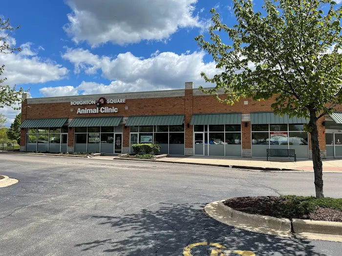 Boughton Square Animal Clinic Picture 10