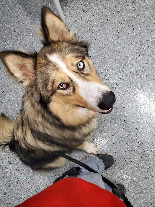Brookville Animal Hospital Picture 10