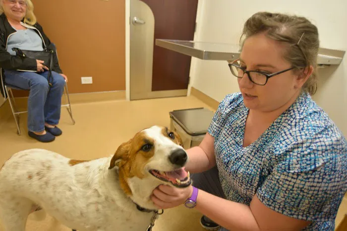 Archer Veterinary Clinic Picture 7