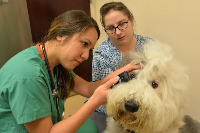 Archer Veterinary Clinic Picture 9