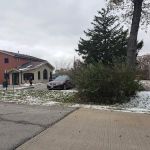 Archer Veterinary Clinic: Schifo Jennifer DVM