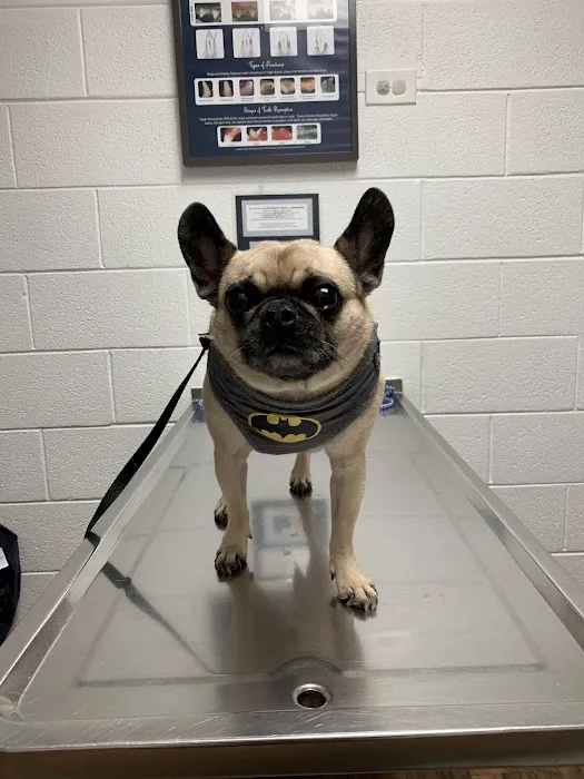 County Line Animal Hospital Picture 1