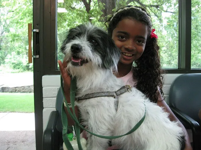 County Line Animal Hospital Picture 9