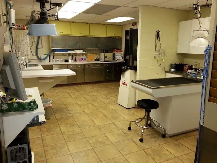 Addison Animal Hospital LTD Picture 4