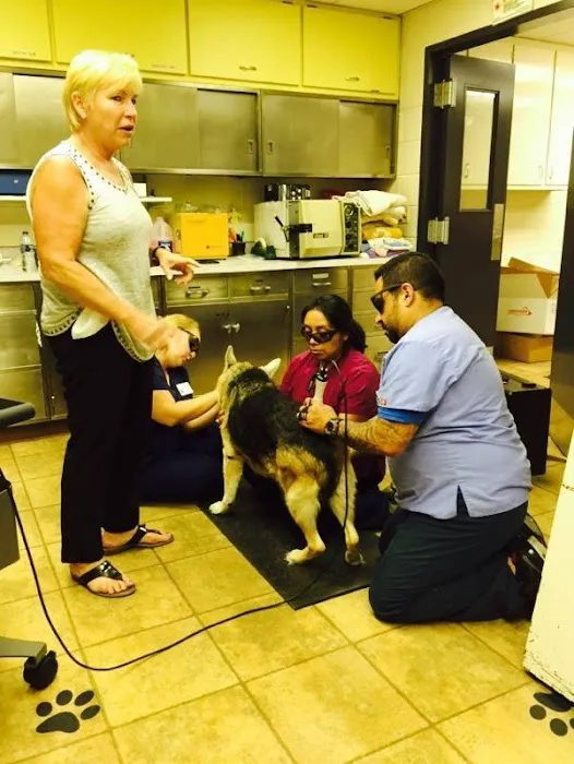 Addison Animal Hospital LTD Picture 6