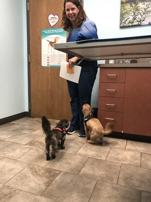 Animal Medical Clinic of Wheaton Picture 3