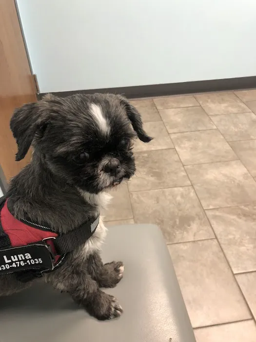 Animal Medical Clinic of Wheaton Picture 5