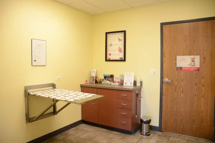 Animal Medical Clinic of Wheaton Picture 7