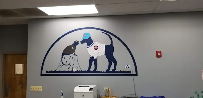 Danada Veterinary Hospital Picture 8