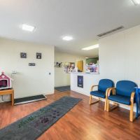 Knoll Animal Hospital ico