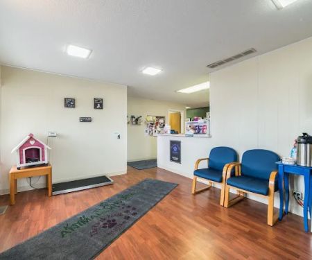 Knoll Animal Hospital