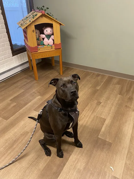 Knoll Animal Hospital Picture 2