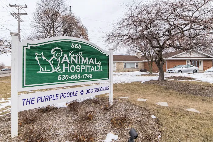 Knoll Animal Hospital Picture 6