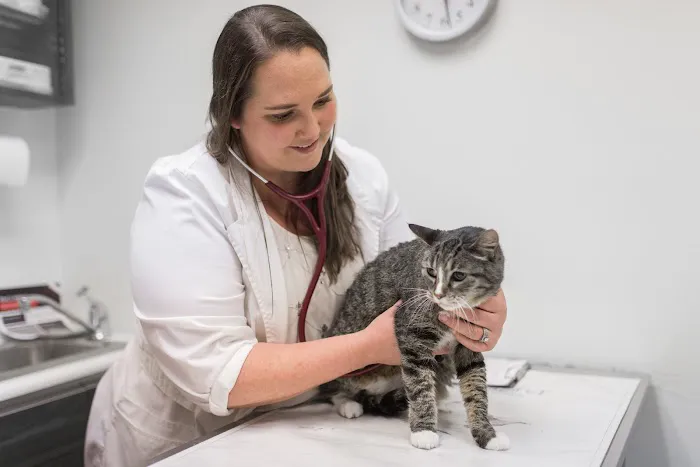Knoll Animal Hospital Picture 9