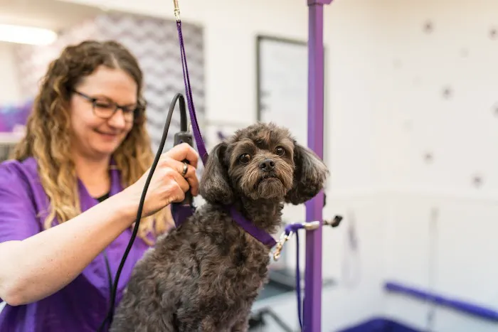 Knoll Animal Hospital Picture 7