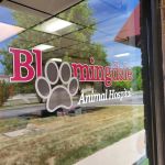 Bloomingdale Animal Hospital, A Thrive Pet Healthcare Partner