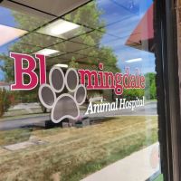 Bloomingdale Animal Hospital, A Thrive Pet Healthcare Partner ico