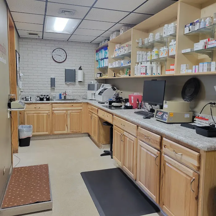 Bloomingdale Animal Hospital, A Thrive Pet Healthcare Partner Picture 7