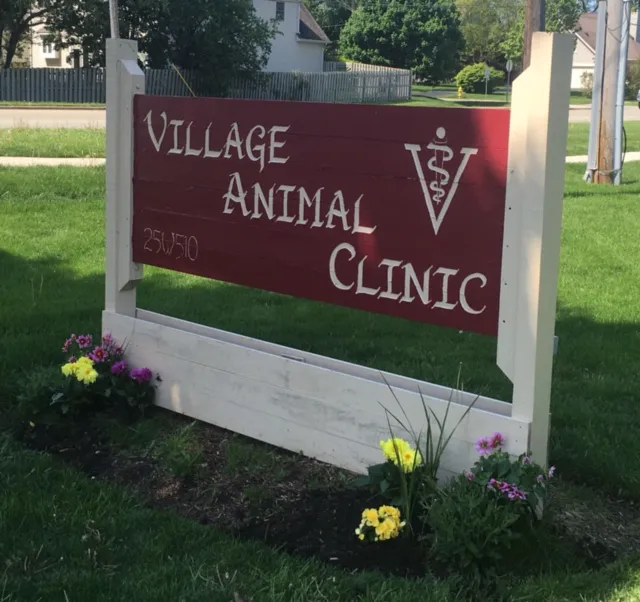 Village Animal Clinic Picture 9