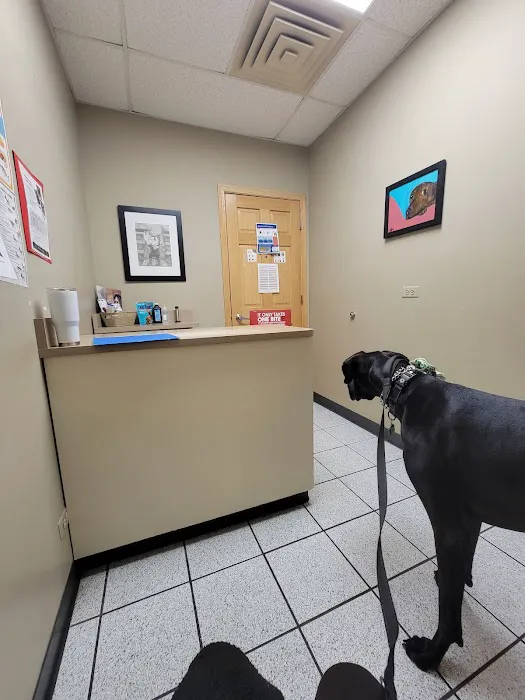 Village Animal Clinic Picture 10