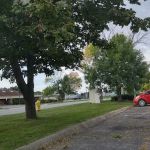 Carol Stream Animal Hospital