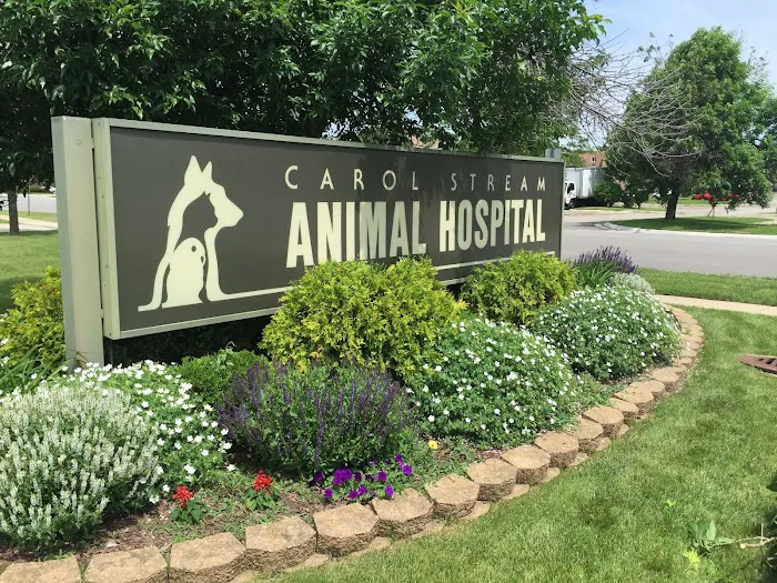 Carol Stream Animal Hospital Picture 10
