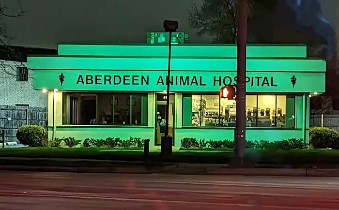 Aberdeen Animal Hospital Picture 3