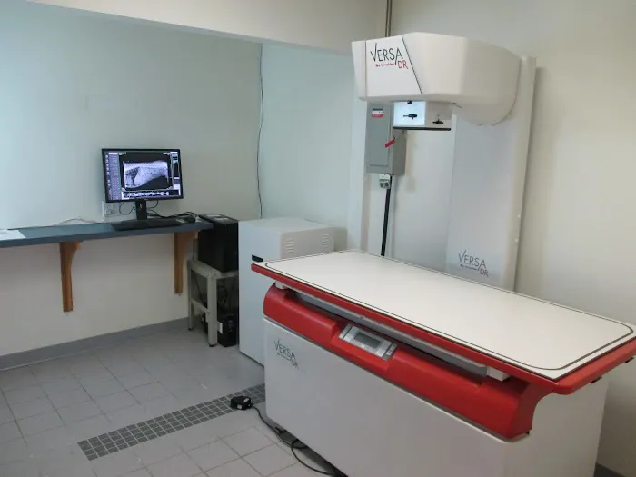 Aberdeen Animal Hospital Picture 5