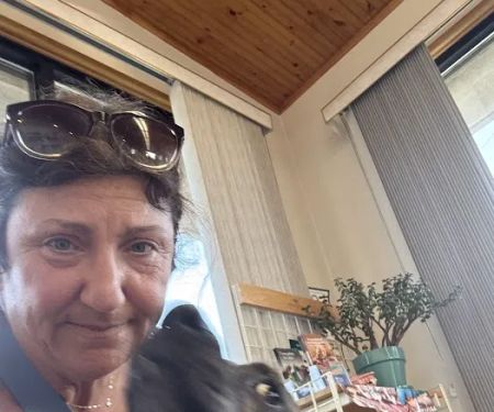Aberdeen Animal Hospital