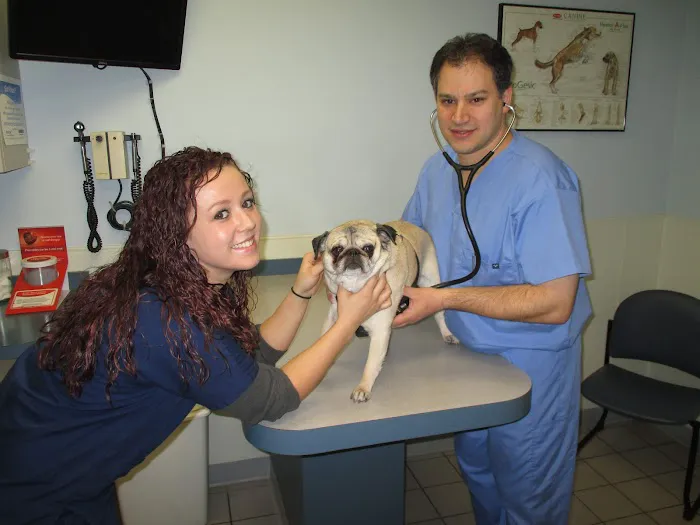 Aberdeen Animal Hospital Picture 9