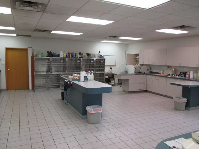 Aberdeen Animal Hospital Picture 10