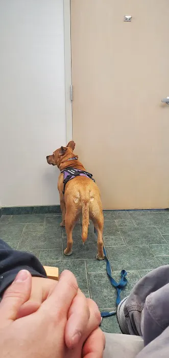 Mt Plaines Animal Hospital Picture 1