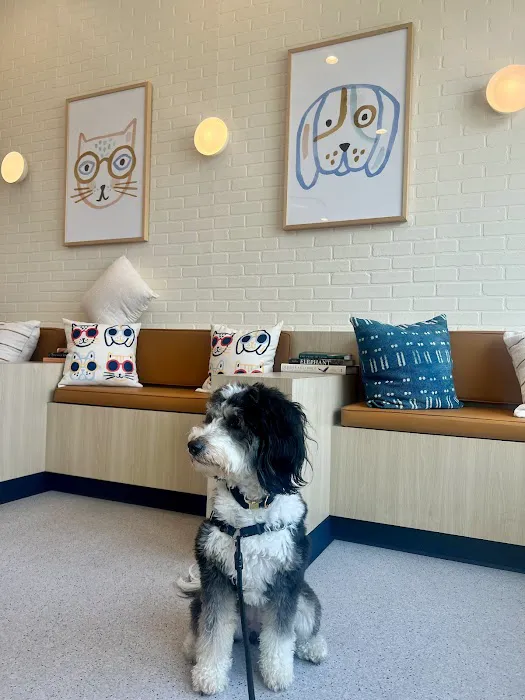 Bond Vet - Glenview Picture 4