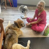 Bhatt Integrative Veterinary Specialty (Arya Acupuncture) | Dr. Priya Bhatt, DVM ico