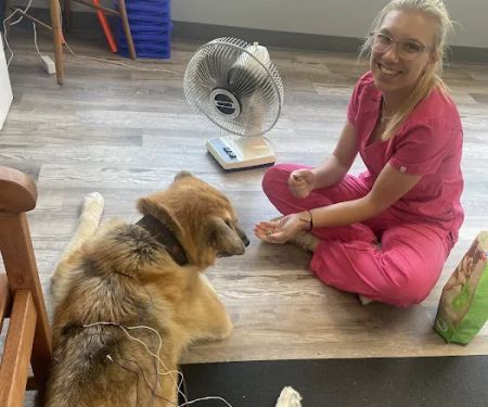 Bhatt Integrative Veterinary Specialty (Arya Acupuncture) | Dr. Priya Bhatt, DVM