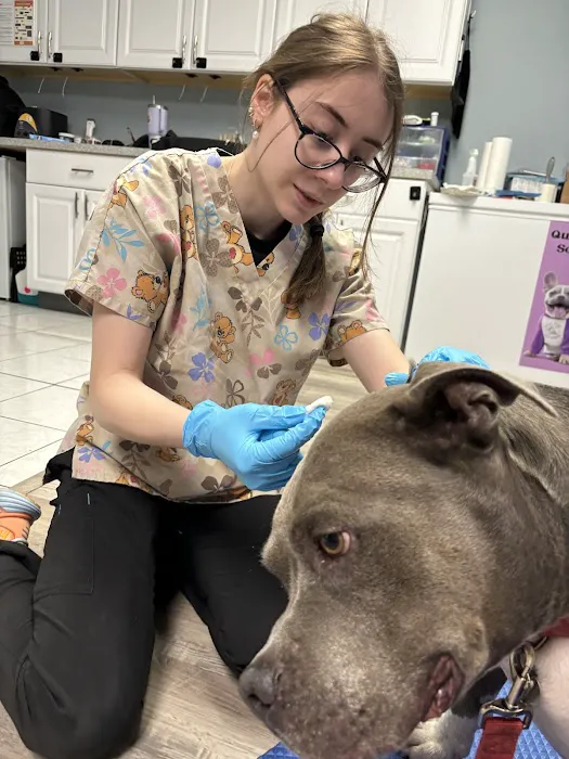Bhatt Integrative Veterinary Specialty (Arya Acupuncture) | Dr. Priya Bhatt, DVM Picture 5