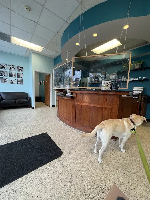 Fox Animal Hospital Picture 5